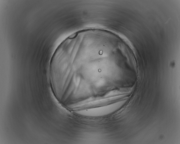 X0000090891295200708241953