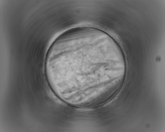 X0000090891296200708241953