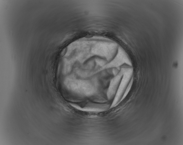 X0000090891297200708241953