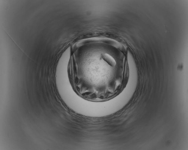 X0000090891298200708241953