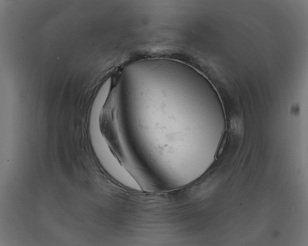 X0000090891300200708241953