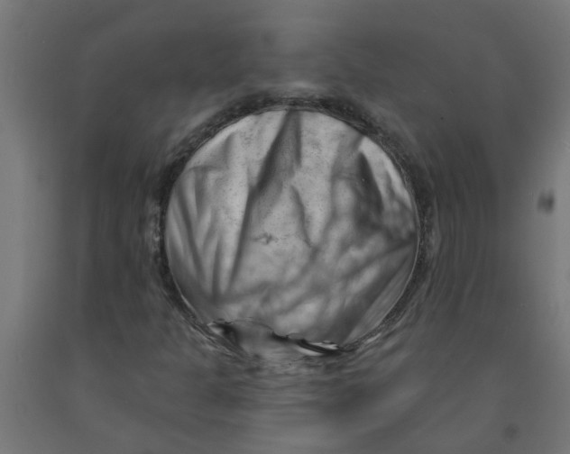 X0000090891301200708241953