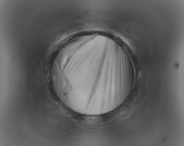 X0000090891303200708241953