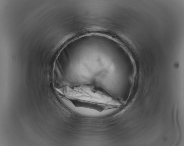 X0000090891305200708241953