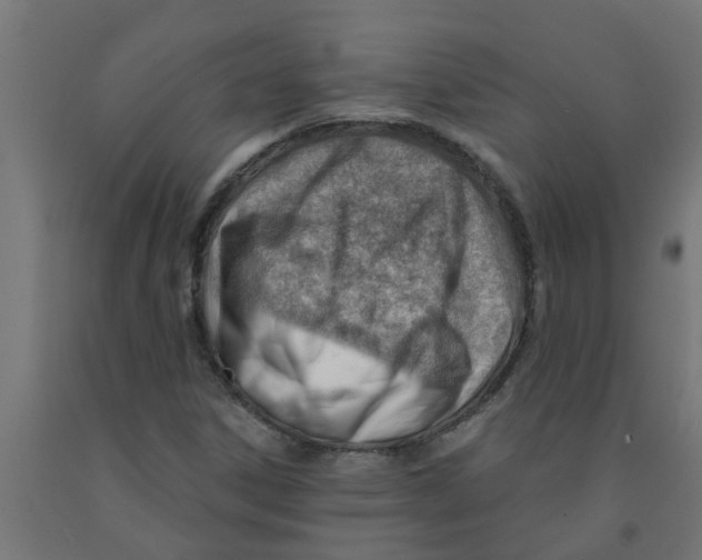 X0000090891306200708241953