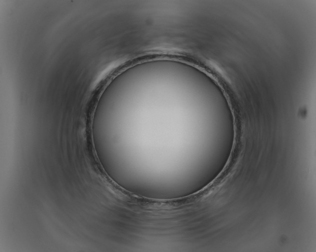 X0000090891307200708241953