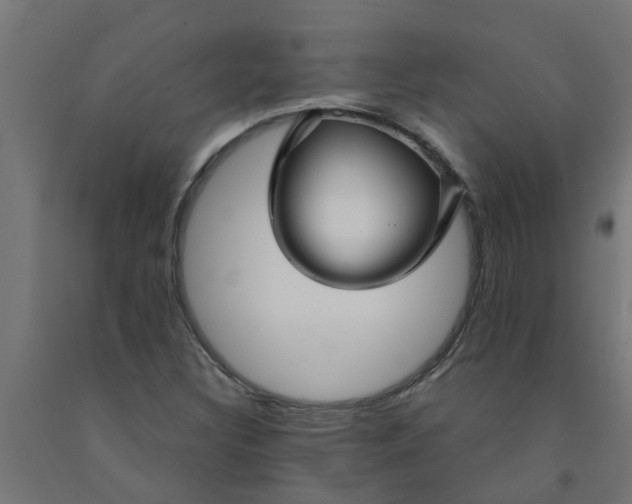 X0000090891308200708241953