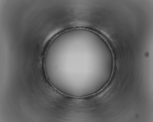 X0000090891309200708241953