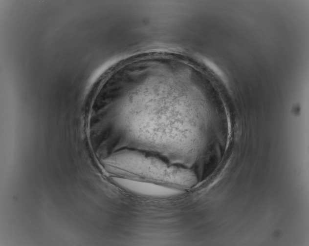 X0000090891310200708241953