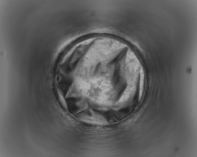 X0000090891311200708241953