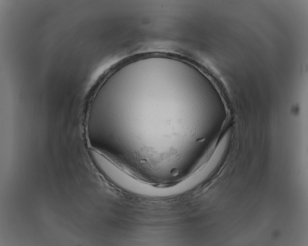 X0000090891312200708241953