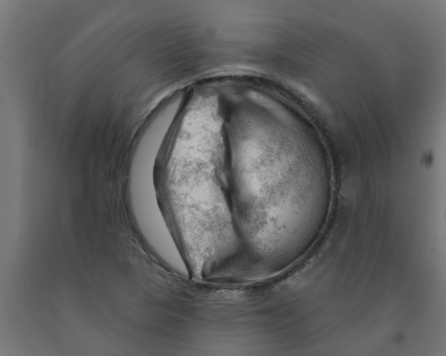 X0000090891313200708241953