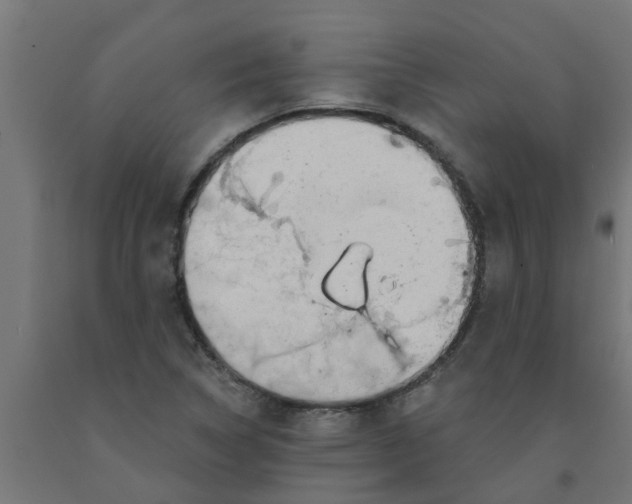 X0000090891314200708241953