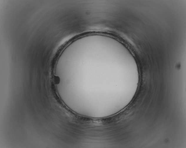 X0000090891315200708241953