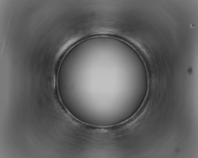 X0000090891317200708241953