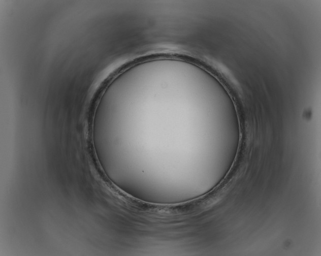 X0000090891318200708241953