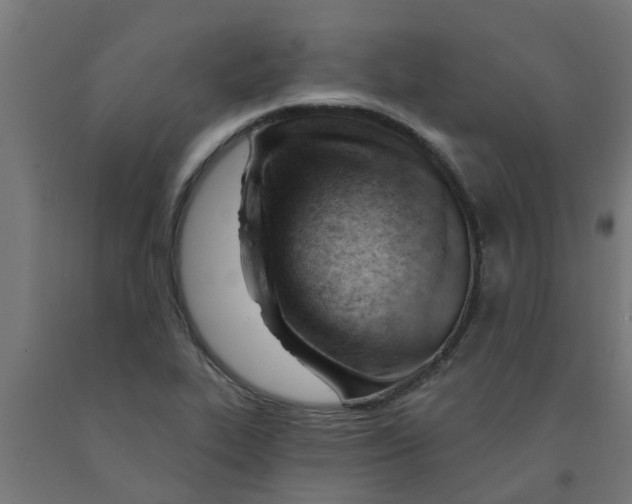 X0000090891319200708241953