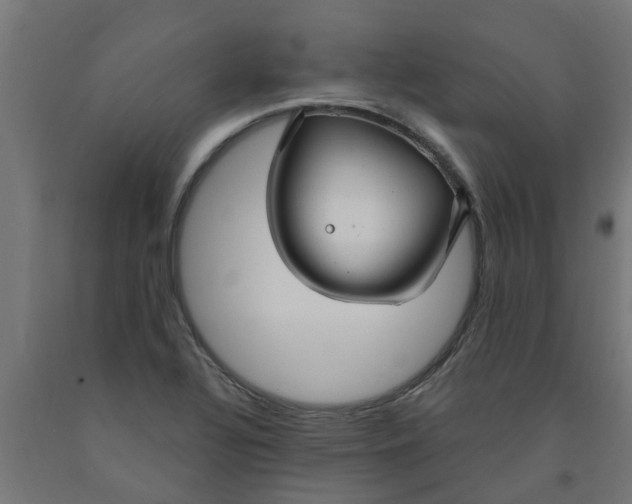 X0000090891320200708241953