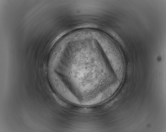 X0000090891321200708241953