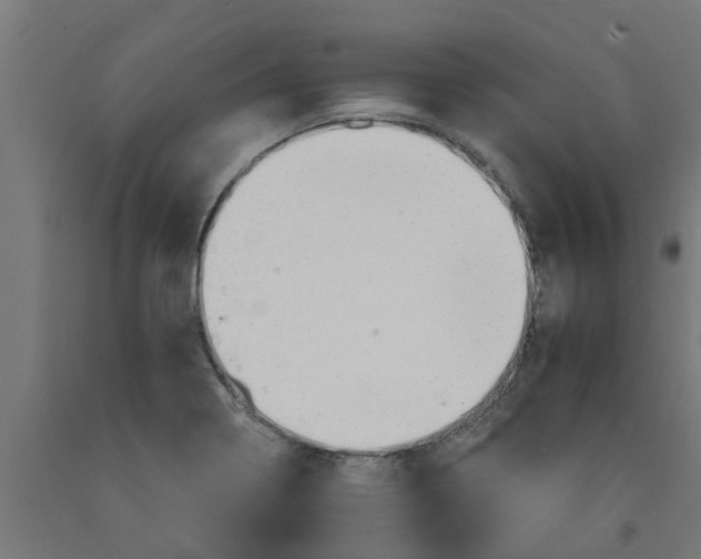 X0000090891322200708241953