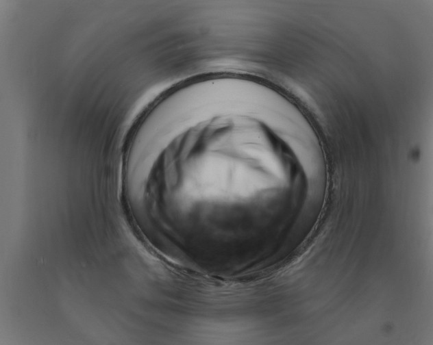 X0000090891323200708241953