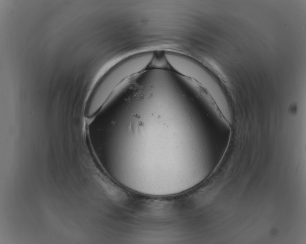 X0000090891324200708241953