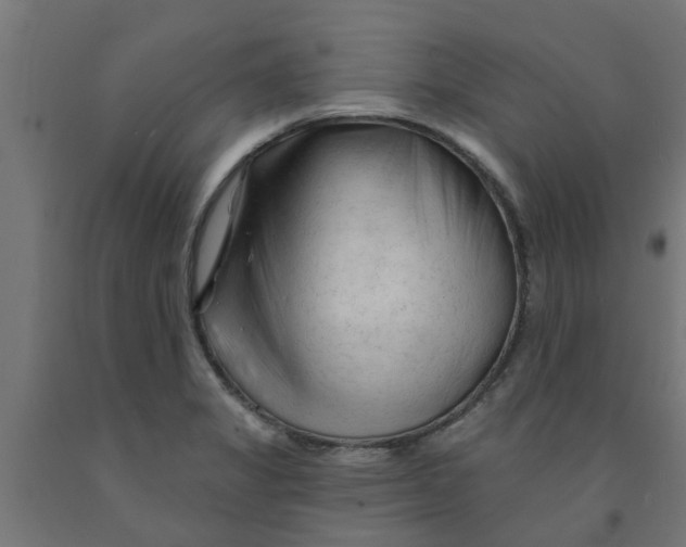 X0000090891325200708241953