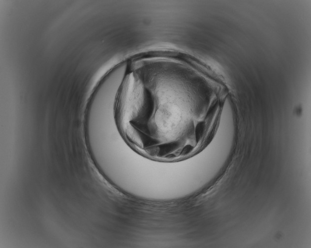 X0000090891326200708241953