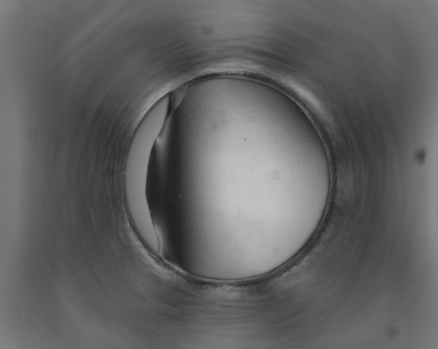 X0000090891329200708241953