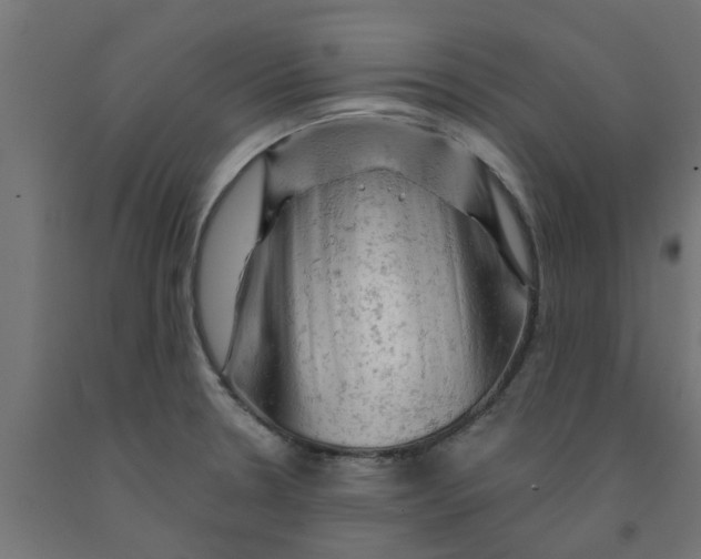 X0000090891330200708241953