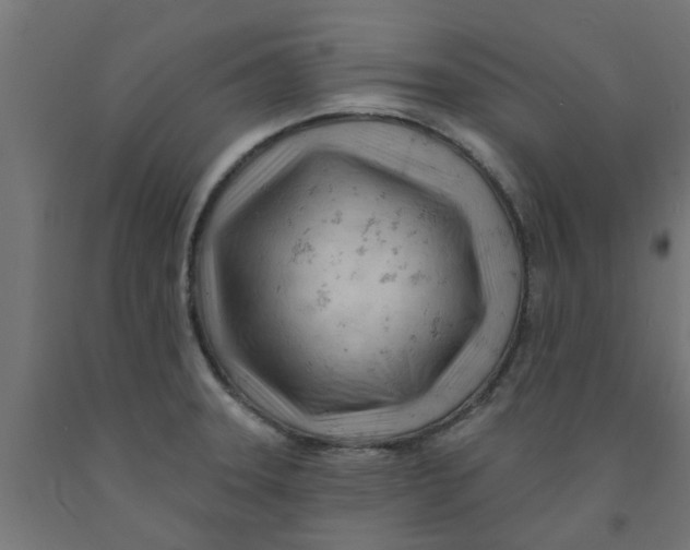 X0000090891331200708241953