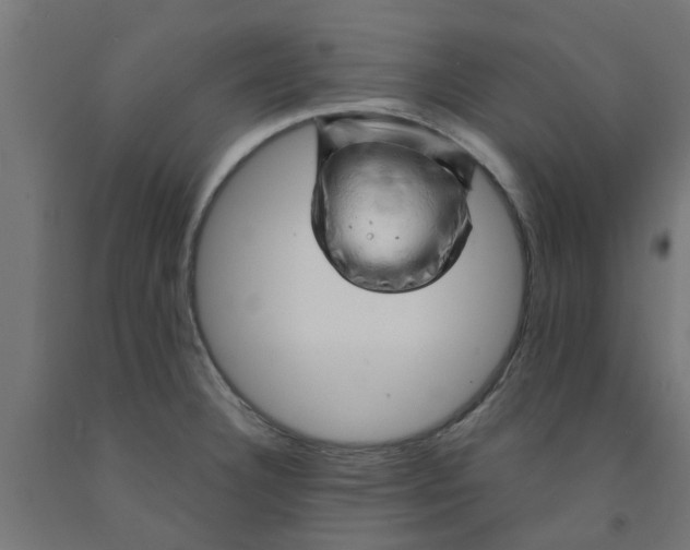 X0000090891332200708241953