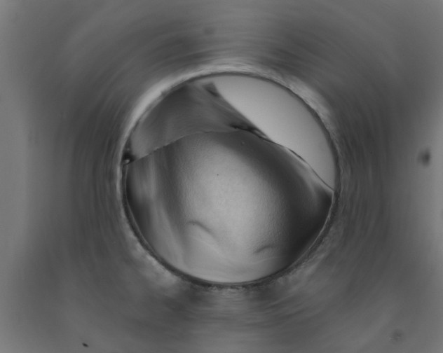 X0000090891334200708241953