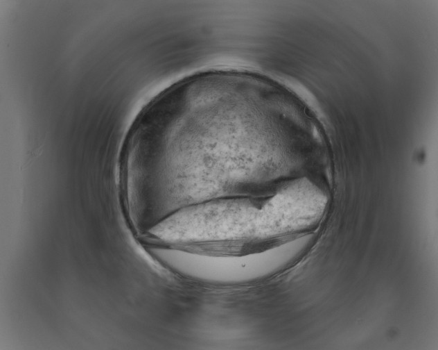 X0000090891335200708241953