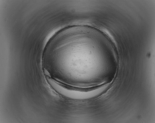 X0000090891336200708241953