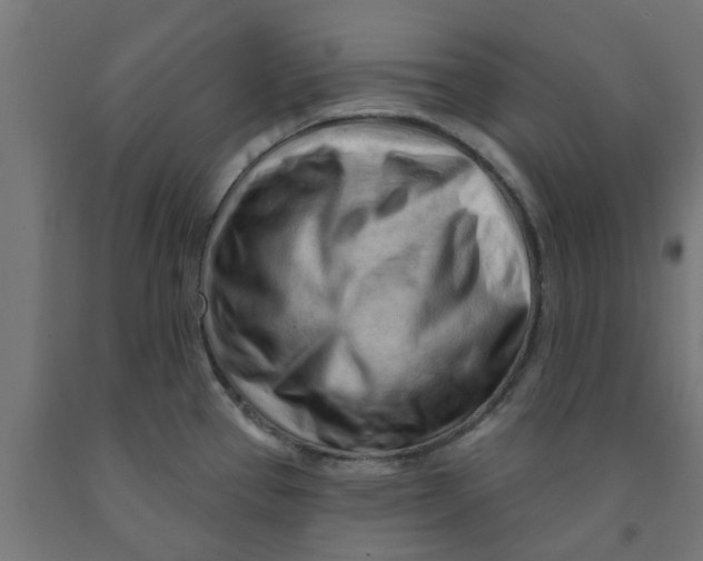 X0000090891337200708241953