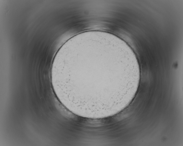 X0000090891338200708241953