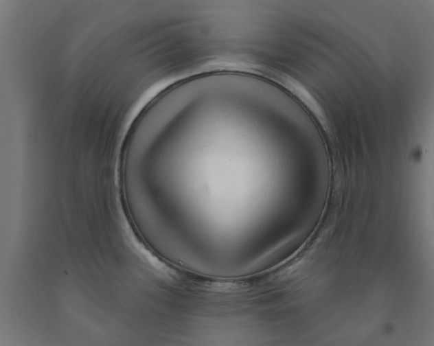 X0000090891339200708241953