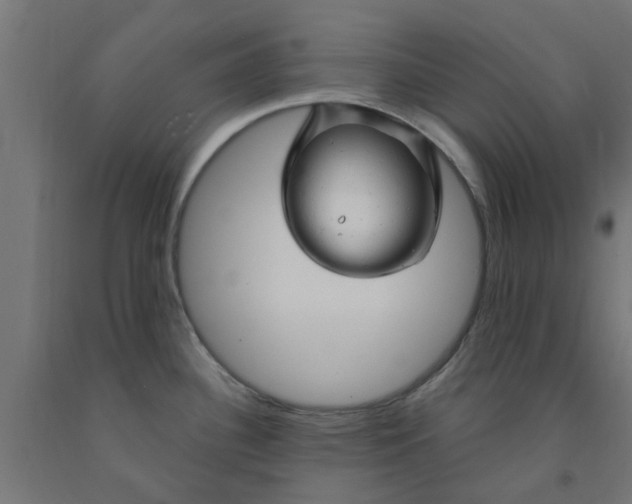 X0000090891340200708241953