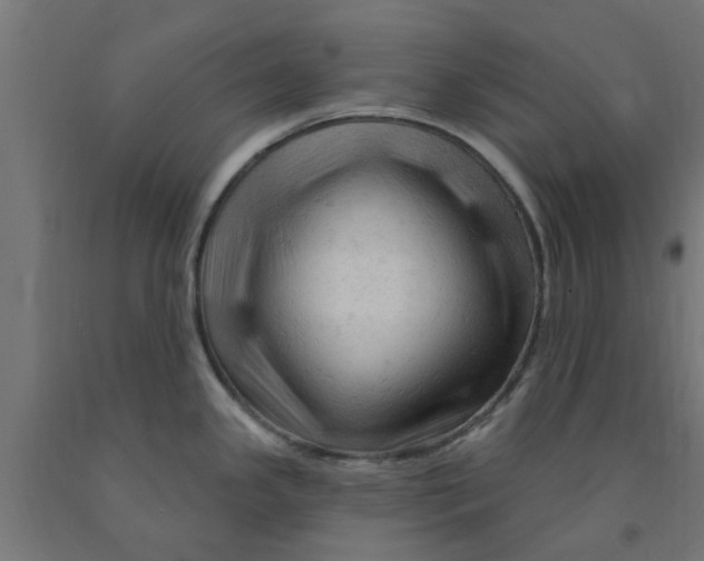 X0000090891341200708241953