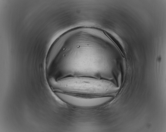 X0000090891343200708241953