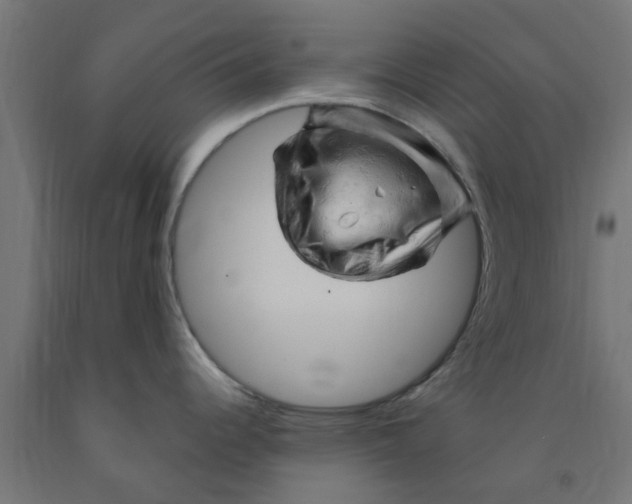 X0000090891344200708241953