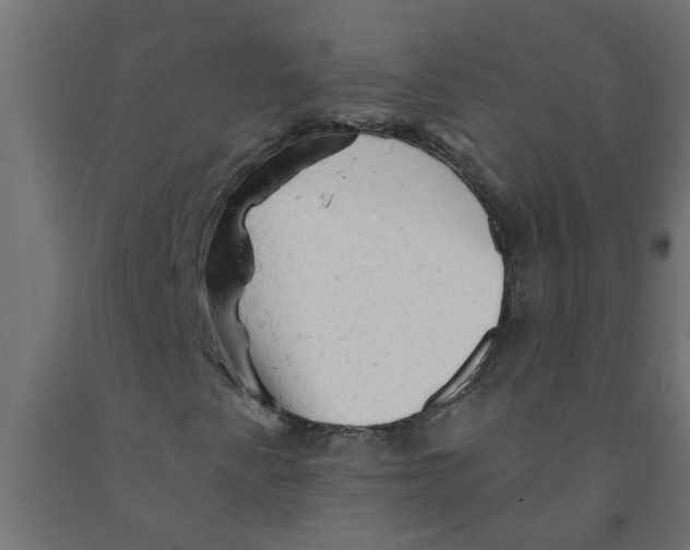 X0000090891345200708241953