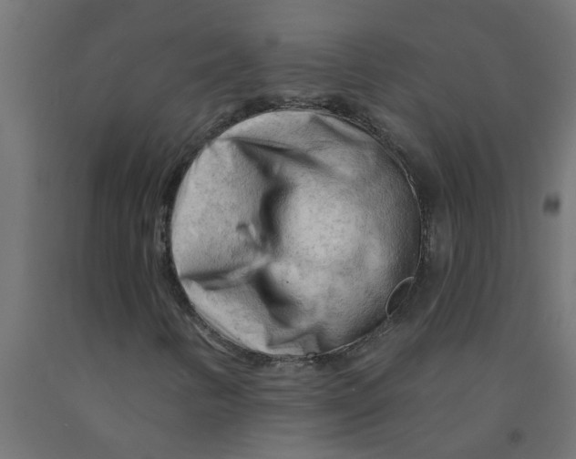 X0000090891346200708241953