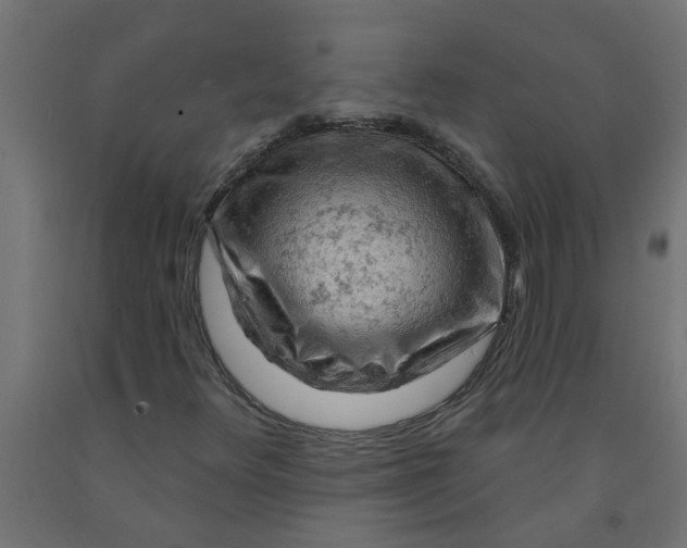 X0000090891348200708241953