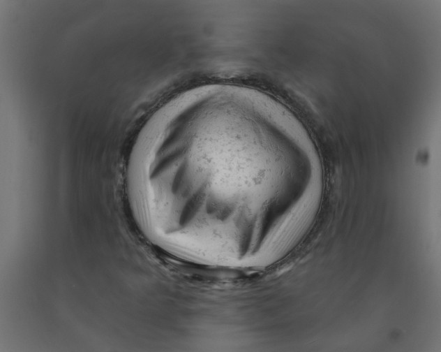 X0000090891349200708241953