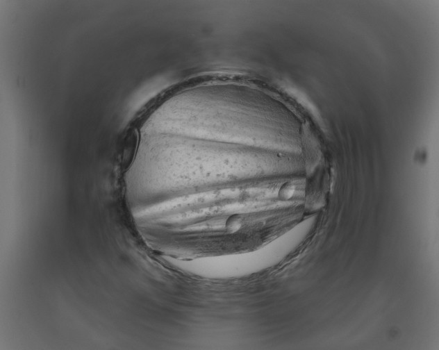 X0000090891352200708241953