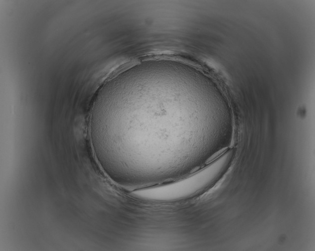 X0000090891353200708241953