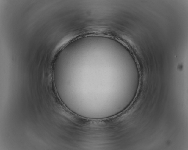 X0000090891354200708241953