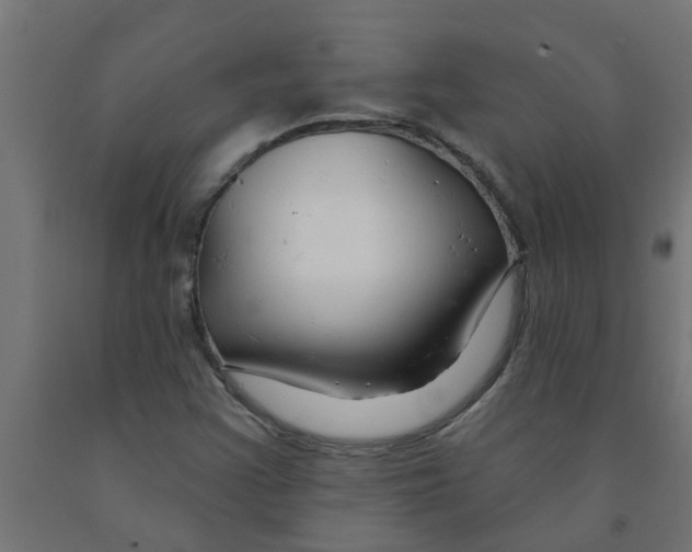 X0000090891355200708241953